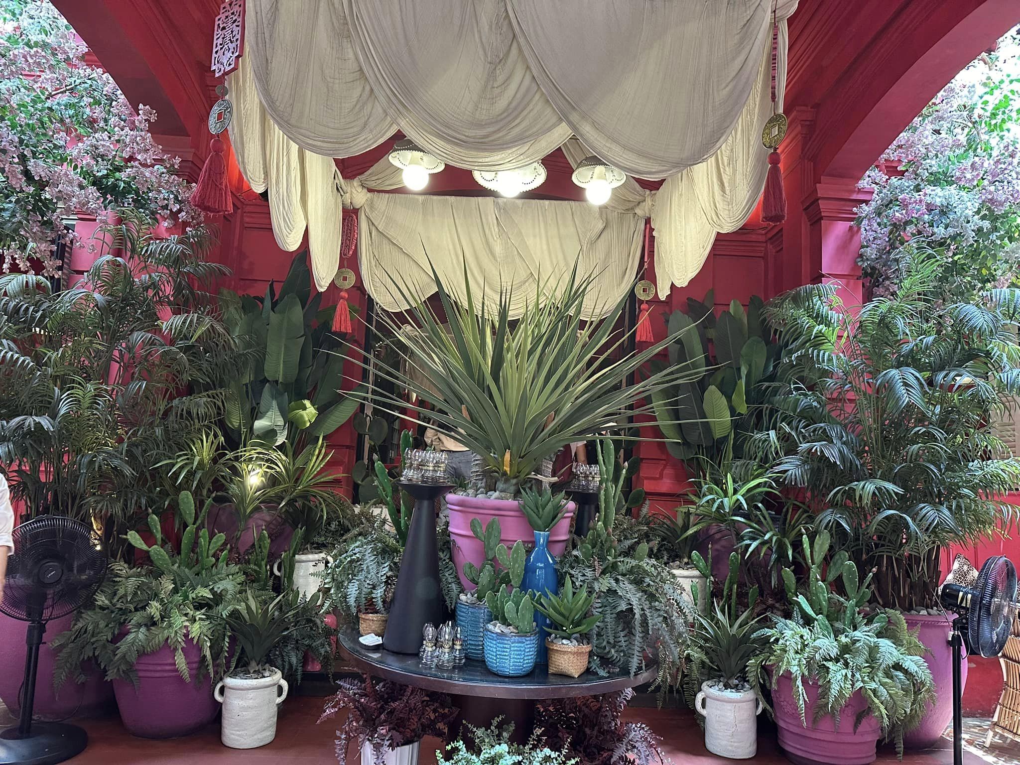 好吃餐廳
 #玩出名堂
 #越南高端旅游