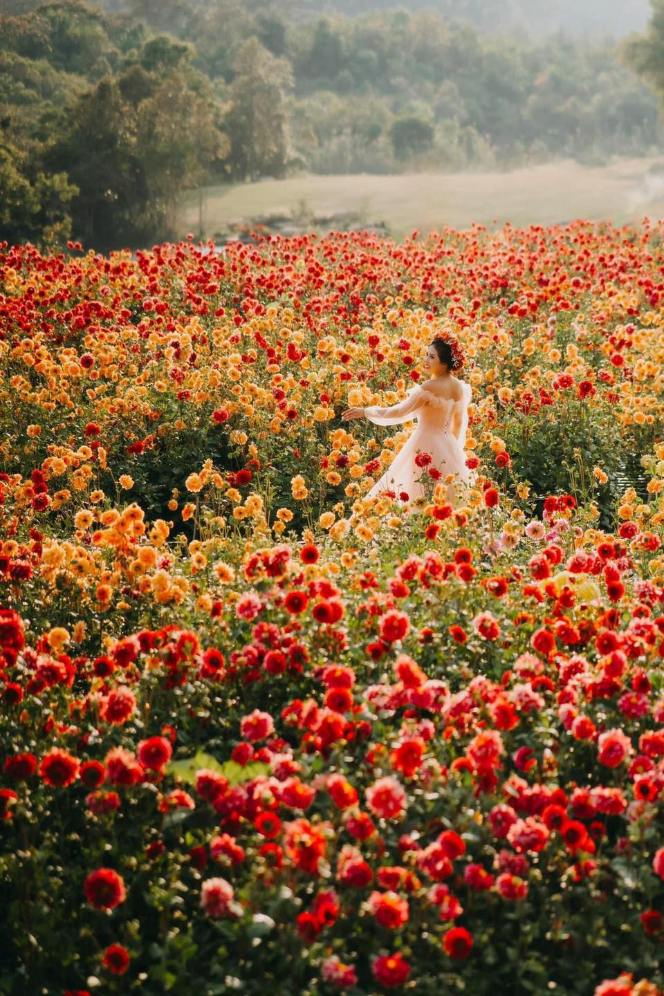 大叻~春天城 大叻擁有許多自然和文化美景…