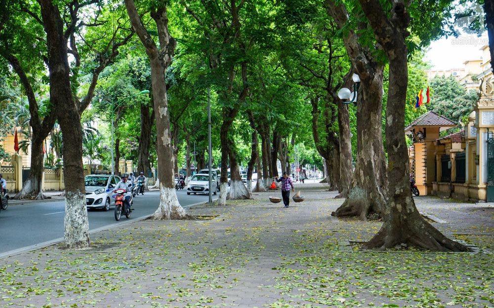 #河内-越南的首都 

作为越南的首都，河内是一个丰富传统文化的城市。河内以其悠久的历史和美丽的风景而闻名。游客可以参观许多古老的寺庙和庙宇，如文庙和一柱寺，感…