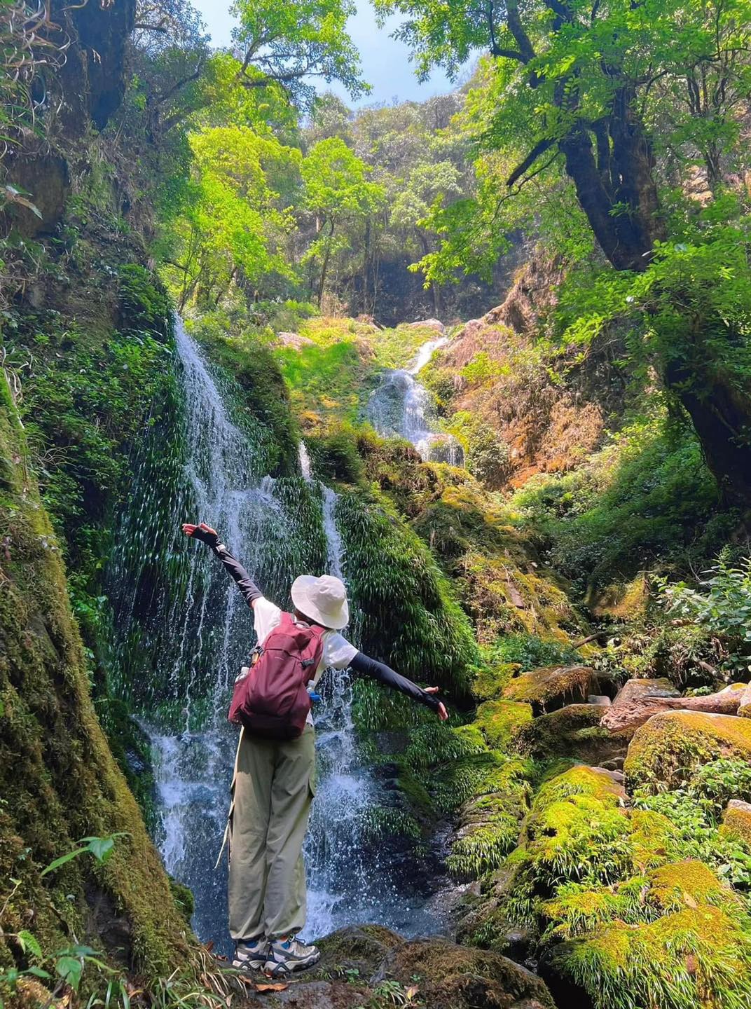 不容錯過的龍宮和打卡點 

龍宮山 (Lung Cung) 是安沛有趣的健行山峰之一，以其雄偉的景觀和原始的健行路線以及出色的健行點而聞名： 

原始老森林： …