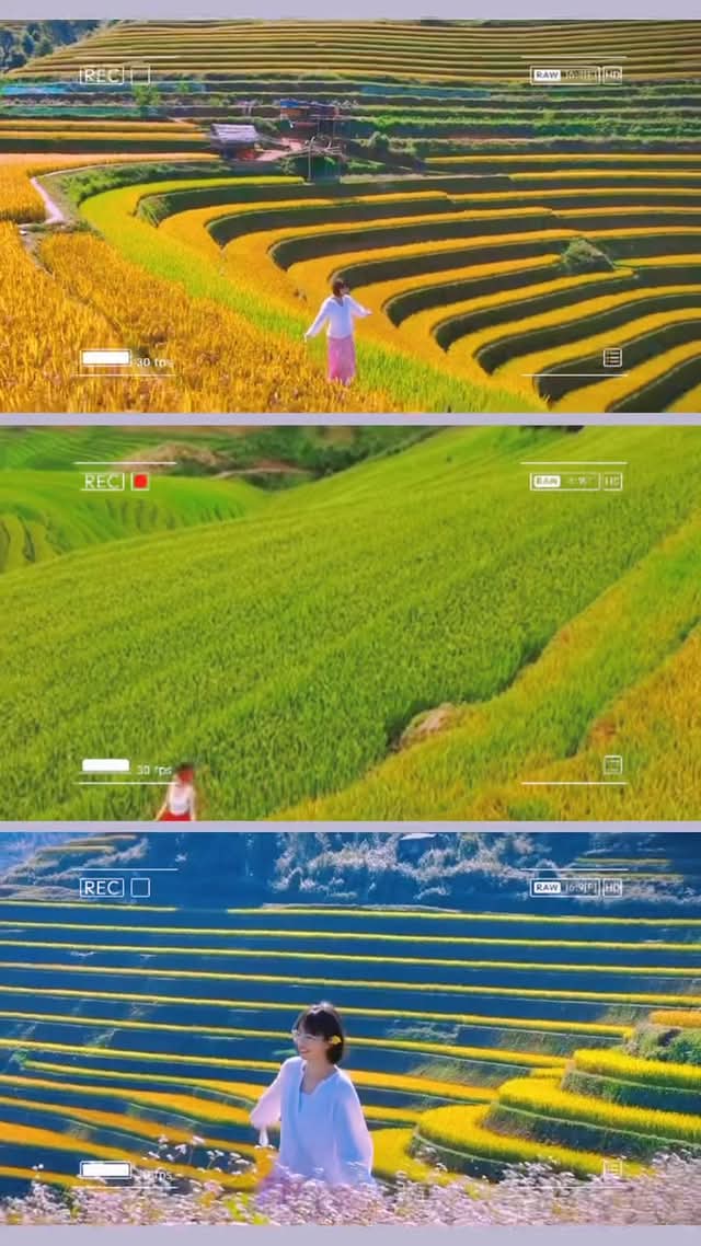 锦绣河山   ～ 今年春天有什麼計畫嗎？跟我一起去看看越南美麗的風景吧。